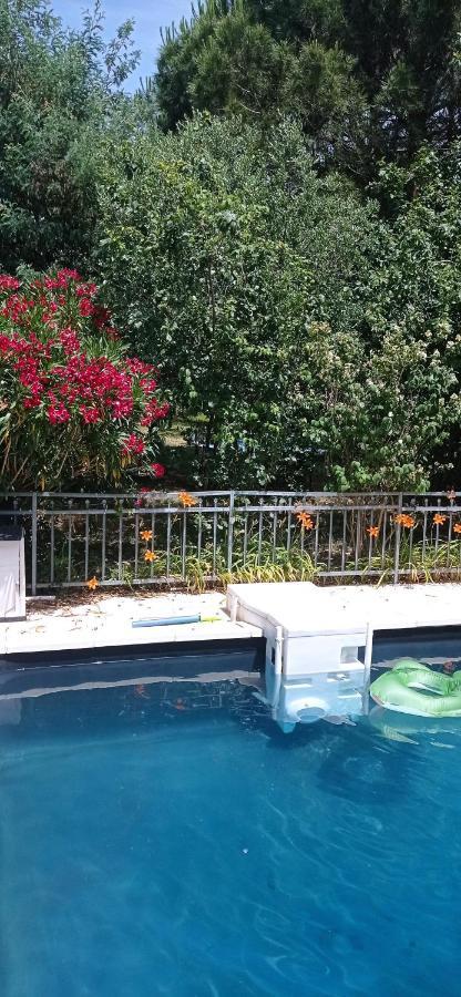 2 Chambres Et Salle De Bain Un Oasis De Bien Etre Piscine Et Jardin Direct Gare Aeroport Toulouse Bagian luar foto