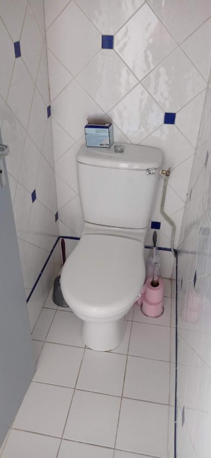 2 Chambres Et Salle De Bain Un Oasis De Bien Etre Piscine Et Jardin Direct Gare Aeroport Toulouse Bagian luar foto