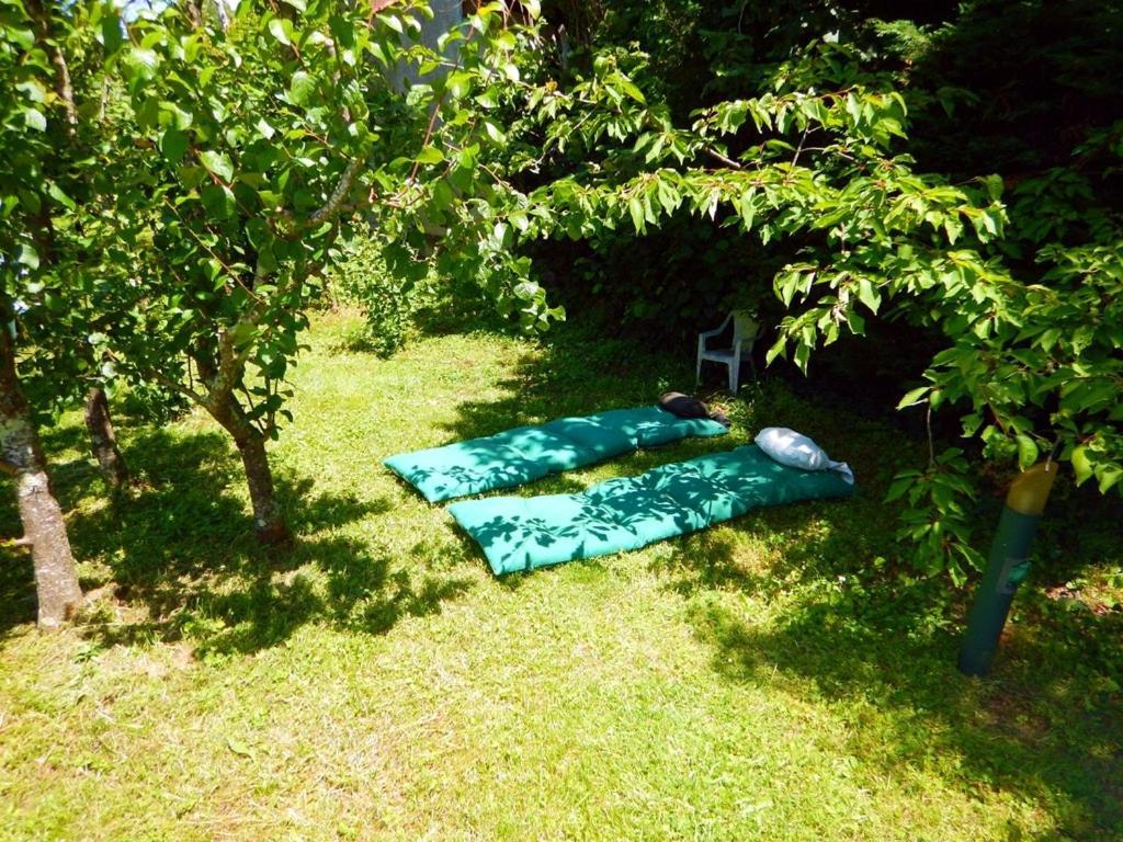 2 Chambres Et Salle De Bain Un Oasis De Bien Etre Piscine Et Jardin Direct Gare Aeroport Toulouse Bagian luar foto